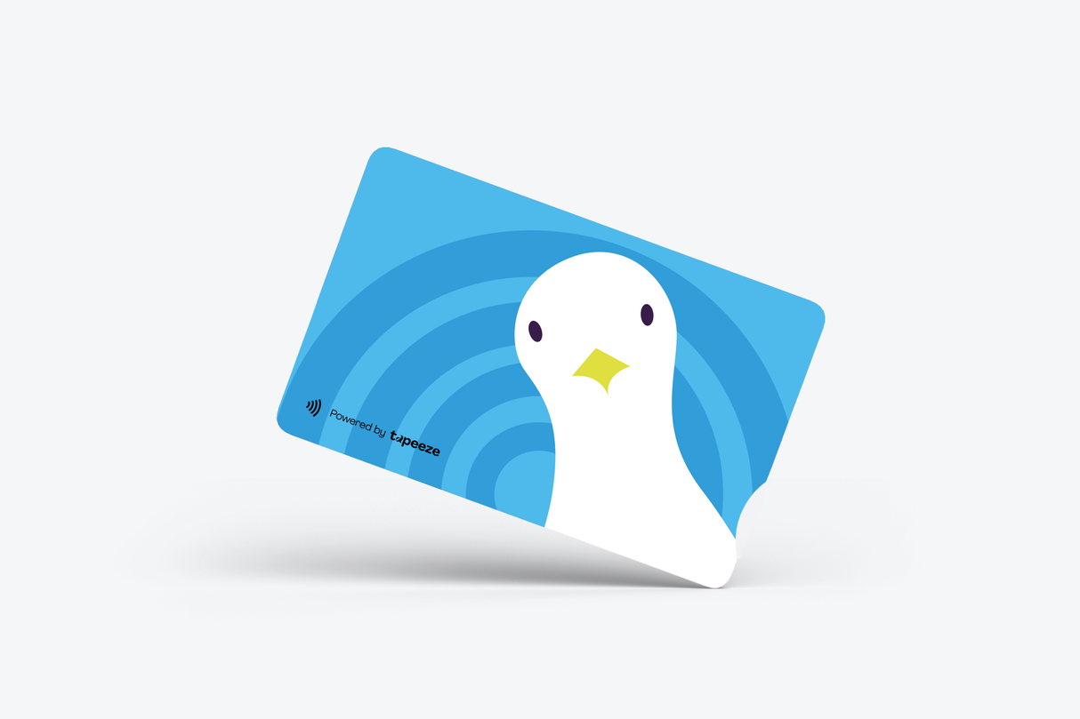 Blue Bird