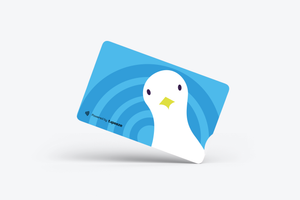 Blue Bird